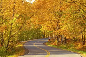 Images Dated 21st October 2022: Road through fores in the fall, Woodstock, Vermont, USA