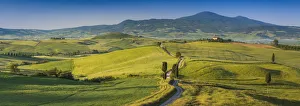 Agricultural Prints: Road leading to Terrapille, Val d Orcia, Tuscany, Italy
