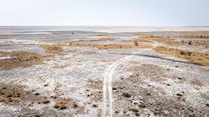 Salt Pans Prints: Road to nowhere, Makgadikgadi Salt Pans, Botswana