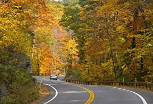 Demetrio Carrasco Gallery: Road nr. Lake George