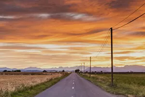 Images Dated 27th June 2016: Road at Sunrise, Provence, France