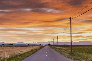 Images Dated 27th June 2016: Road at Sunrise, Provence, France
