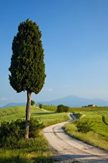 Road to Villa Terrapille, near Pienza, Tuscany, Italy