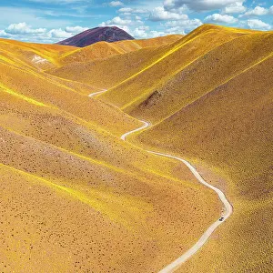 Drive Prints: Road winding among yellow hills, Vega de los Colorados, Puna, Catamarca, Argentina