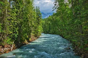 Majestic Rockies Prints: Robson River. Keeny Lake Trail. Inland temperate rain forest