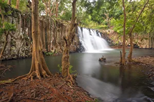 Tropical Climate Prints: the Rochester fall in winter day, Savanne district, Mauritius, Indian Ocean, Africa