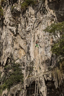 Images Dated 5th February 2016: Rock climbing at Tonsai Bay, Railay Peninsula, Krabi Province, Thailand