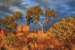Rock formation at Devils Marbles with eucalyptus - Australia, Northern Territory