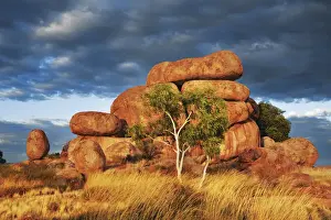 Rock formation at Devils Marbles with eucalyptus tree - Australia, Northern Territory