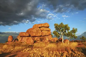 Rock formation at Devils Marbles with eucalyptus tree - Australia, Northern Territory