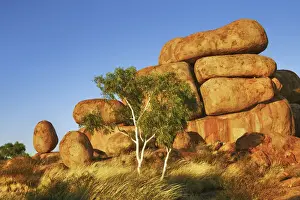 Rock formation at Devils Marbles with eucalyptus tree - Australia, Northern Territory