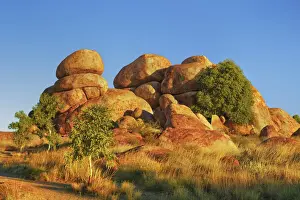 Rock formation at Devils Marbles with eucalyptus tree - Australia, Northern Territory