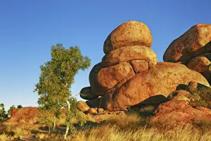 Rock formation at Devils Marbles with eucalyptus tree - Australia, Northern Territory