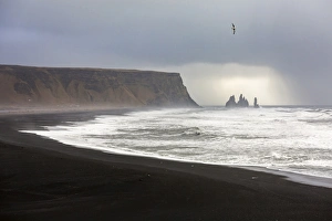 Sudurland Prints: Rock formations at the beach of Reynisfjara, Vik, Sudurland, Iceland, Europe