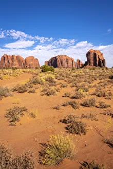 Images Dated 7th January 2020: Rock formations and bushes on sunny day in Monument Valley, Arizona, USA