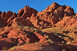 Shrubs Prints: Rock formations and Mojave desert scrub community, Valley of Fire State Park, Nevada, USA