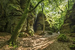 Mullerthal Prints: Rock formations near Berdorf, MAollerthal, Kanton Echternach, Luxembourg