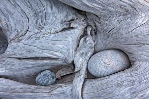 Central Canada Prints: Rocks in driftwood on Pebble Beach Marathon, Ontario, Canada