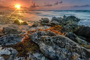 Rocky coast of Cayman Brac at sunrise in the Cayman Islands, British West Indies