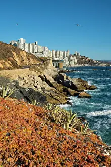 Rocky coastline by Roca Oceanica with distant view of residential high-rise buildings in Renaca, Concon, Valparaiso Province, Valparaiso Region, Chile