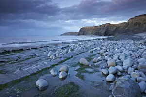 Images Dated 22nd January 2015: Rocky ledges of Kilve Beach on the Somerset Coast, England. Summer