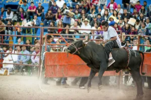 Rodeo Prints: Rodeo at Santa Cruz Papalutla, Oaxaca, Mexico