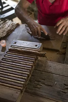 Images Dated 16th February 2015: Rolling cigars at the Alejandro Robaina Tobacco Plantation, Pinar del Rio Province, Cuba