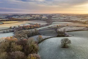 Rolling countryside at dawn on a frosty winter morning, Devon, England Rolling countryside at dawn on a frosty winter morning, Devon, England