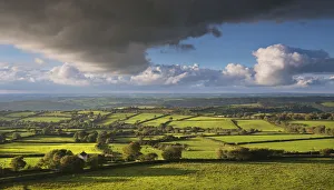 Brentor Prints: Rolling countryside near Brentor, Dartmoor, Devon, England. Autumn (September)