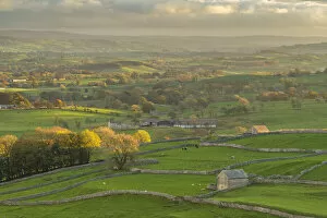 Images Dated 16th July 2021: Rolling countryside near Malham Cove, Yorkshire Dales National Park, North Yorkshire