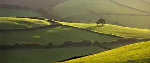 Hillside Prints: Rolling countryside near Oare, Exmoor National Park, Somerset, England. Autumn 2009