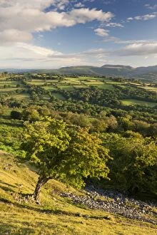 Rolling countryside surrounding the Usk Valley, Brecon Beacons National Park, Powys, Wales
