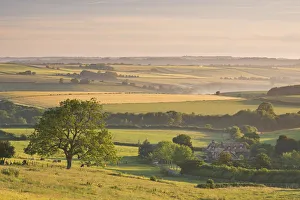 Rolling countryside and thatched cottage near Frome, Somerset, England. Summer (June) Rolling countryside and thatched cottage near Frome, Somerset, England. Summer (June)