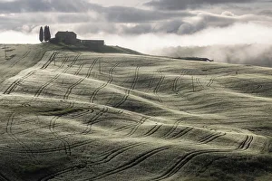 Misty Morning Prints: Rolling countryside in the Val D'orcia, Tuscany, Italy