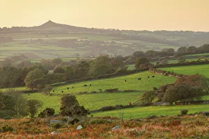 September Prints: Rolling countryside view towards Brentor Church