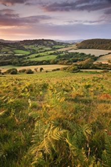 Rolling Dorset countryside viewed from Golden Cap, Dorset, England. Summer