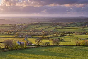 April Prints: Rolling farmland countryside near Brentor, Dartmoor National Park, Devon, England