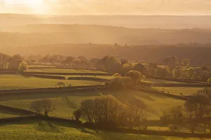Rolling farmland at sunset, West Devon, England