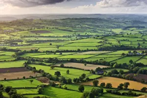 Powys Prints: Rolling fields near Llangorse, Brecon Beacons National Park, Powys, Wales, UK. Autumn