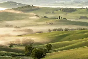 Morning Mist Prints: Rolling green landascape and morning mist