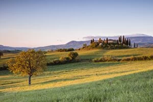 Images Dated 17th April 2017: Rolling hills and farmhouse at sunrise, Val d Orcia, Tuscany, Italy