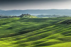 Produce Prints: The rolling hills illuminated by the later afternoon light in the Crete Senesi