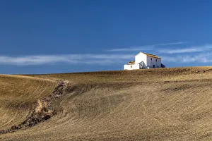 Images Dated 10th April 2019: Rolling hills landscape, Andalusia, Spain