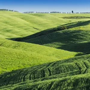 Images Dated 15th December 2020: Rolling hills near San Quirico d Orcia, Val d Orcia, Tuscany, Italy