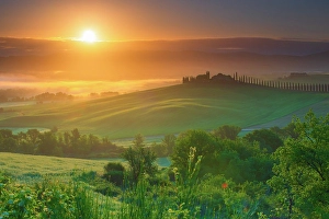 Civita Di Bagnoregio Prints: Rolling hills near San QUirico d'Orcia, Tuscany, Italy