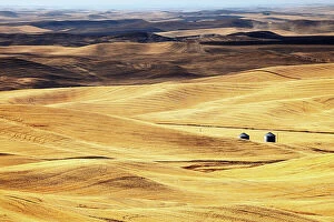 Farming Collection: The rolling hills of the Palouse, Washington State, USA