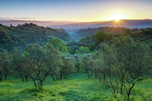 Volterra Prints: Rolling hills around the town of Volterra, Tuscany, Italy