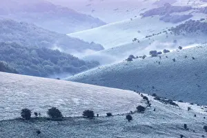 Layers Prints: Rolling landscape covered in dew