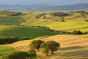 San Quirico Dorcia Prints: The rolling landscape of the Val d'Orcia, near San Quirico d'Orcia, Tuscany, Italy