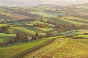 November Prints: Rolling pastoral countryside at dawn